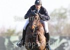 Philippaerts N